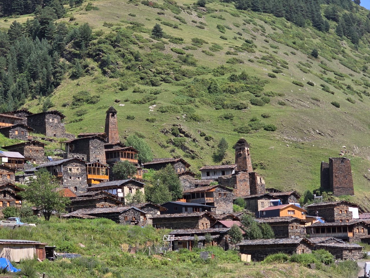 თორნიკე თორნიკე